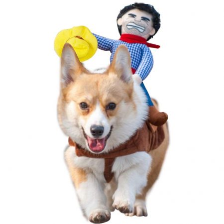 Cowboy rider dog costume