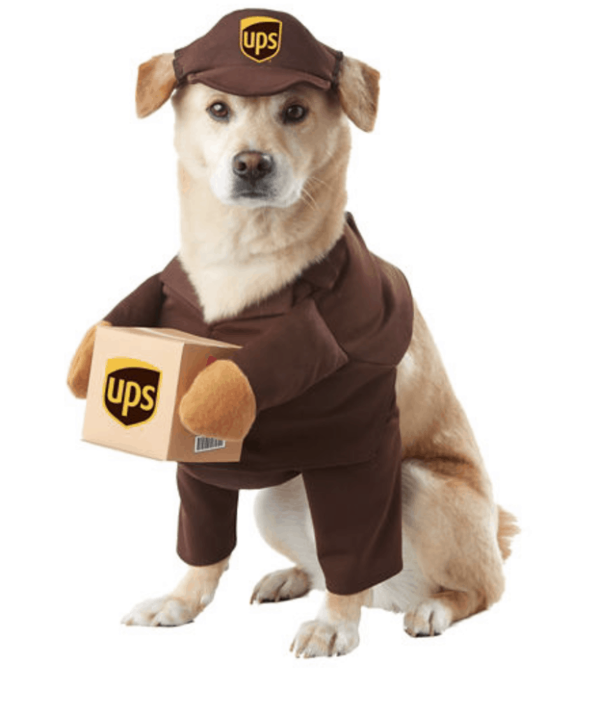 UPS Dog Costume
