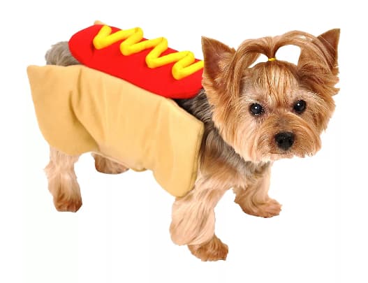 Hot dog dog costume