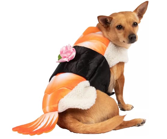 Shrimp sushi dog costume