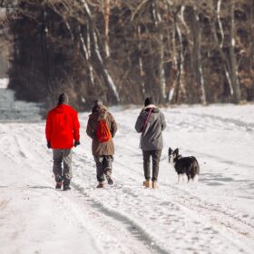 Three people walking on a snowy road with a dog