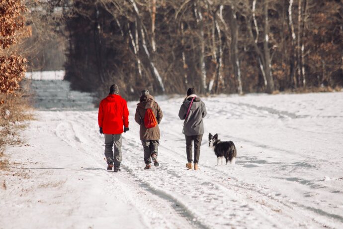 Three people walking on a snowy road with a dog