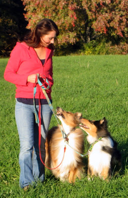 Out of all of the many things I have learned about working with dogs, one of most helpful was learning how to talk puppy. Sounds crazy, I know....so let me explain! What I mean by "talking puppy" is to talk enthusiastically to your dog. Sounds simple enough. I've told clients who have issues with their dog pulling on the leash that they should try praising their dog. They tell me they do that and the dog doesn't respond. Then you're not "talking puppy!" When I first began training dogs, I struggled continually with this concept. I'm generally a very quiet person and quite shy. Basically...I don't like to make a fool out of myself in front of people! So when I was in training class and was told to talk enthusiastically to my dog Elsa, I whispered some "good girl's" to her, with no results. It was when I began competing with her in Rally-Obedience when I found my true "voice." In Rally-Obedience, your dog must stay by your side while you walk through an obstacle course. The wonderful thing about the sport is that you can talk to your dog throughout the entire thing, however, you can't use treats. Now, if you didn't know before, you know now...I am very competitive. So Elsa and I didn't compete in Rally-O just for fun, we competed to win! At our first show, I watched our competitors in the show ring and I watched their owners walk through the course like zombies...as if their dogs weren't even there, paying attention only to what they were doing, not to their dogs. And their dogs just weren't interested at all! So I wanted to make Elsa interested. I put all shyness aside, and I talked to her, A LOT. I told her she was beautiful, I told her she was wonderful...and she took in every single word! I made Elsa feel on top of the world! And she enthusiastically stayed by my side, rocked the course, and won a blue ribbon! I took what I learned from that experience with the dogs that I walk. What a difference it made! No longer was I pulled along all day long, I had dogs that not only stayed by my side, but enjoyed staying by my side! They loved being told how wonderful they are...who wouldn't?! And in addition to telling them praise, you can also learn to get their attention with certain phrases. For example, whenever I'm about to bring my dogs for a walk, or throw a toy, or give them a treat...in an enthusiastic voice I ask them "are you ready!?" All of those things...a walk, toy, or treat are rewards. So now they here "are you ready!?" and they know they're getting a reward! We also play "up here!" I hold a treat up high and tell them "up here!" and they jump up to get the treat. It didn't take long to teach them what "up here!" means and they absolutely LOVE the game. So now, if I really need to get their attention, I'll enthusiastically say "are you ready!?" or "up here!" and it's a guarantee I'll get them to look my way. Sounds easy enough, and I'm sure some of you are thinking "well I already talk puppy!" Try talking puppy to your dog when you're outside walking and you see another dog ahead of you. If you're dog ignores your talking and only wants to meet the other dog, you're not talking puppy! You need to talk to that dog as if he's the greatest thing in the world! Make your voice higher pitched, loud, and as enthusiastically as possible. And you should practice. Yes, practice talking puppy. Your dog will love it. Start without distractions, wait until your pup is dozing or busy chewing a toy, and start telling him how wonderful he is as enthusiastically as you possibly can. No doubt you'll get a wiggly, happy pup bounding up to you to hear more! Then try the same thing when you let him outside to go to the bathroom, and then on a walk...increasing distractions as he learns. And believe me, your dog will let you know whether or not you are properly talking puppy! It's not an easy as it sounds, but once you learn, it'll be one of your best tools in training your dog! Good dog!