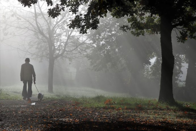 A man walking a dog on a leash through a foggy forest